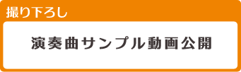 撮り下ろし　演奏曲サンプル動画