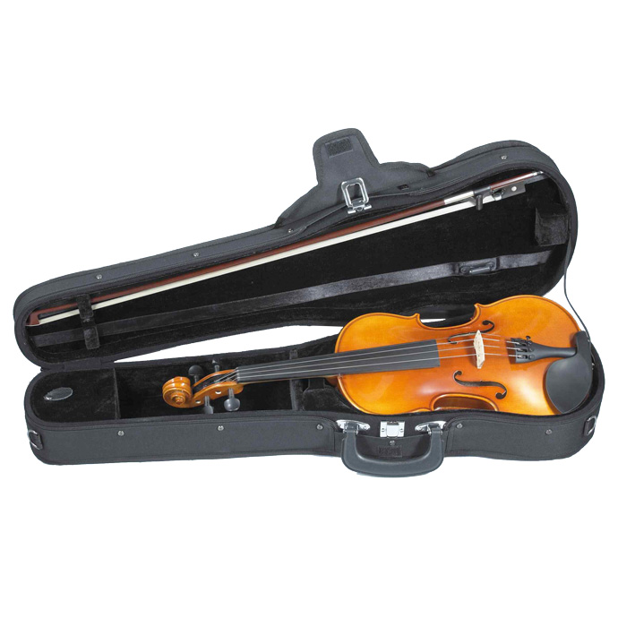 NEW Andreas Eastman vl305 バイオリンケース カーボンファイバー