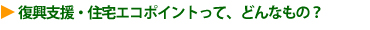 �����x���E�Z��G�R�|�C���g���āA�ǂ�Ȃ��́H
