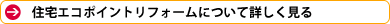 �G�R�|�C���g���t�H�[���̃y�[�W��