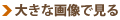 大きな画像で見る 大きな画像で見る
