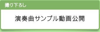 B艺낵@tȃTv