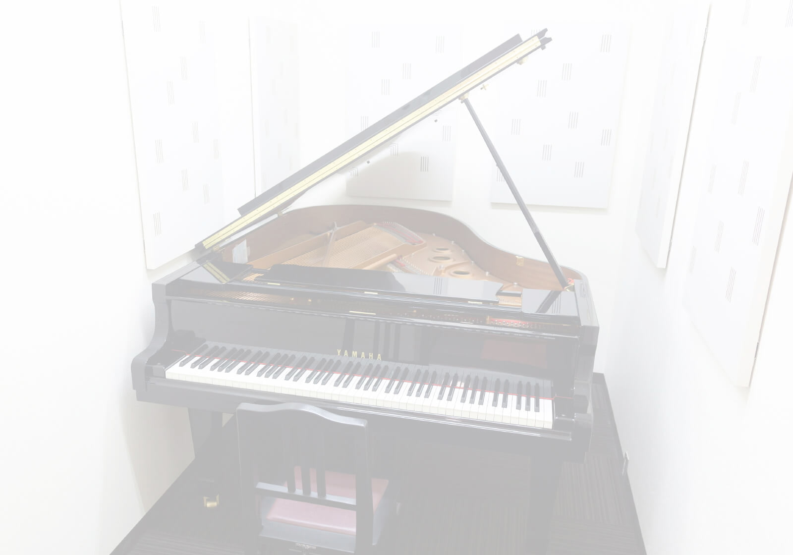 mv1