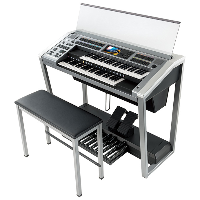 ヤマハ  ELS-02C<br> <small>(カスタムモデル)</small>