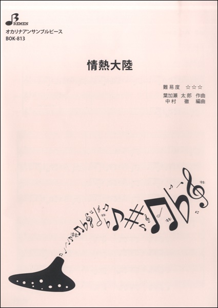 ＢＯＫ８１３　情熱大陸