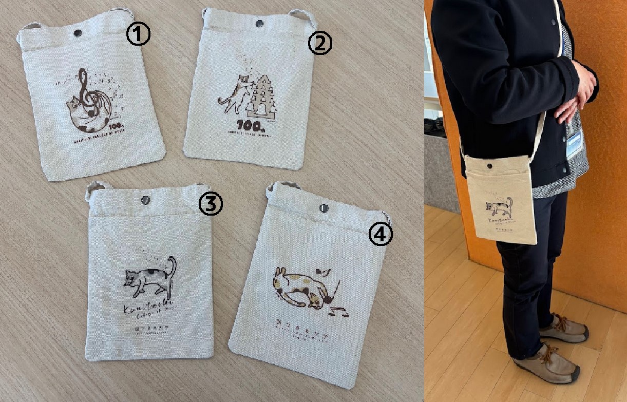 100周年記念オリジナルサコッシュ