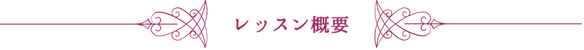 レッスン概要