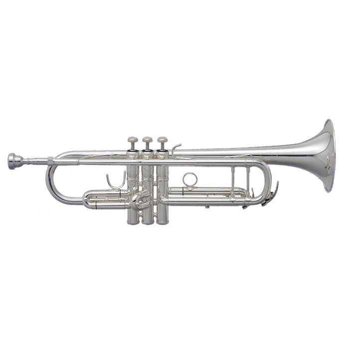 Vincent Bach TR400